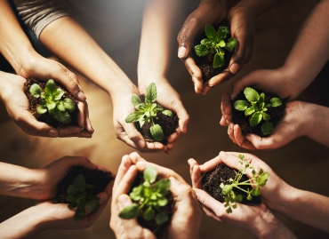 Environment Sustainability