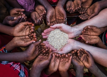 Healthcare Wellbeing